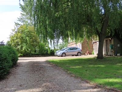 Picture 16
